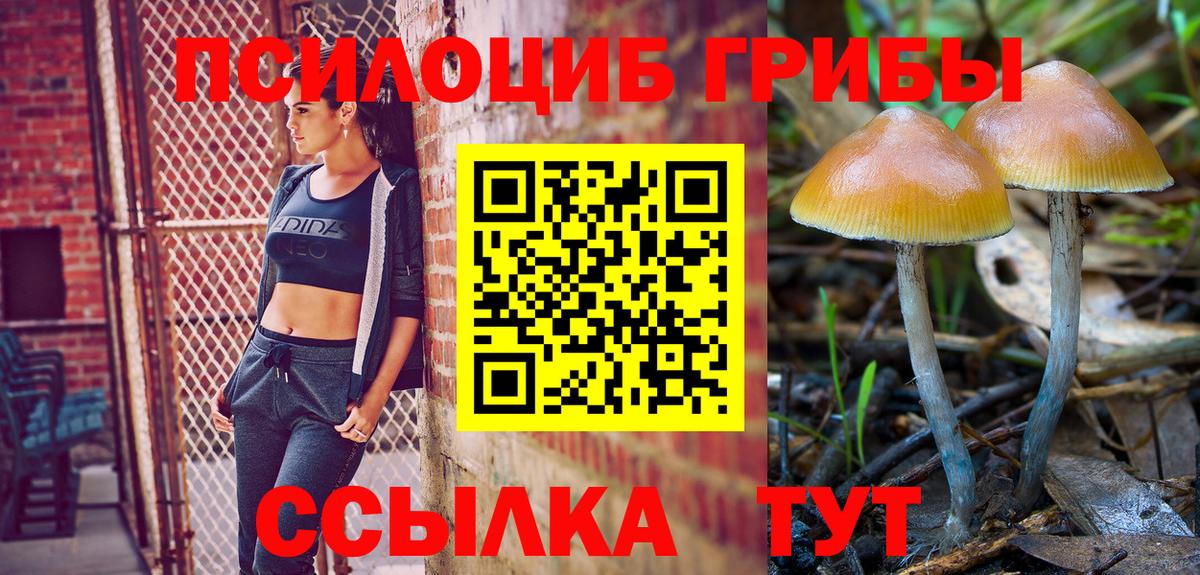 Псилоцибиновые грибы мухоморы Тайшет