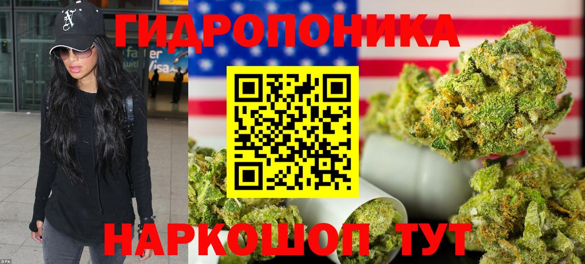 Каннабис конопля Тайшет